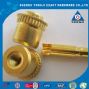 copper brass rivet with rohs certificate